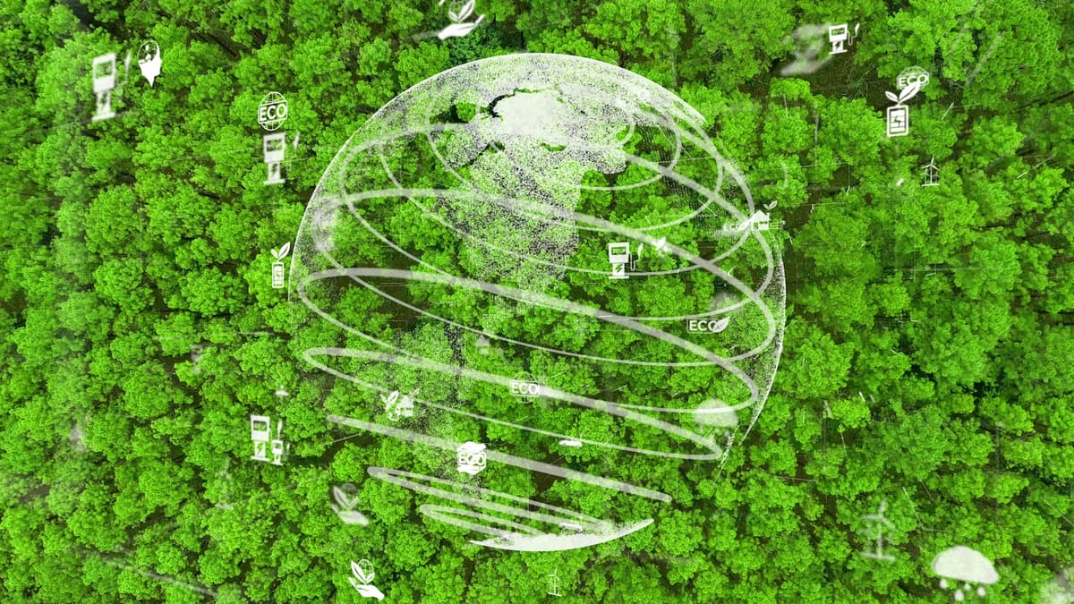 Cheap Isn’t Always a Bad Thing when It Comes to Carbon Credits