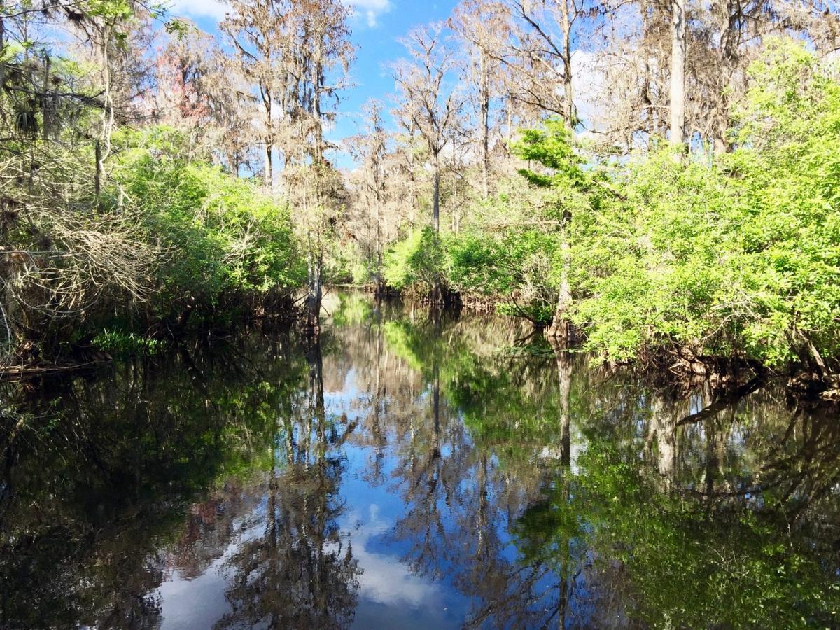 The Corporate Benefit of Linking Water Risk to Strategy