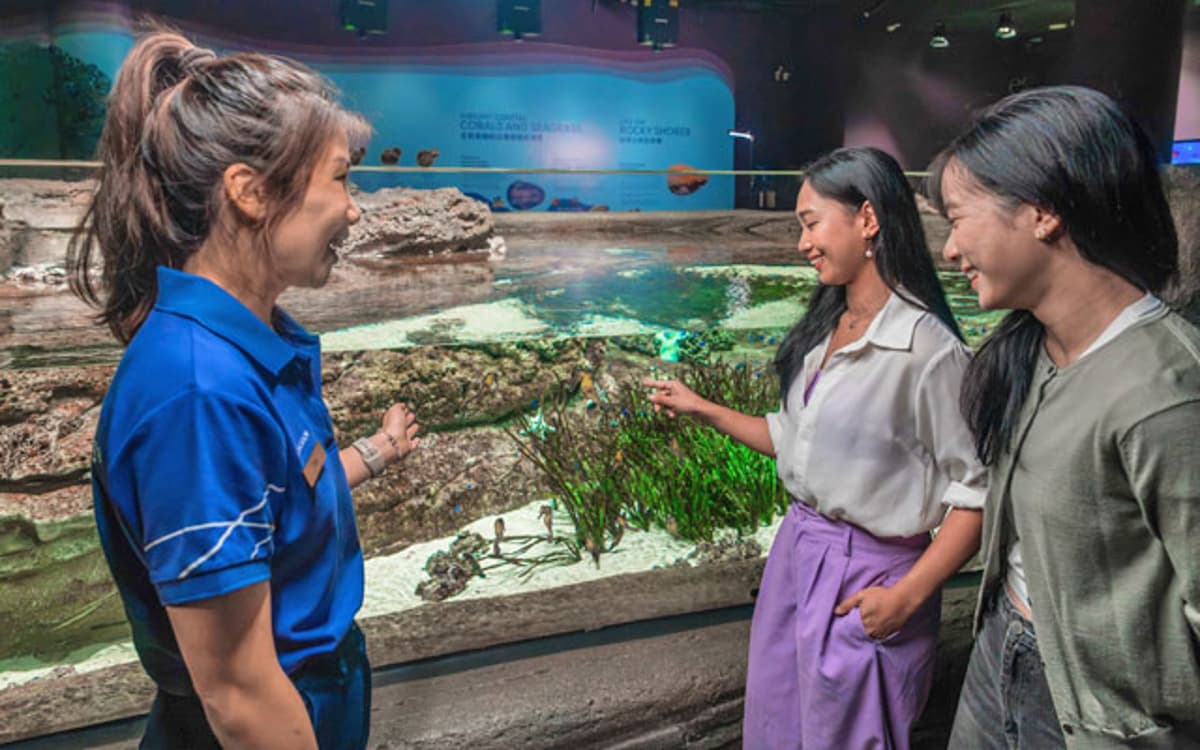 Singapore Oceanarium Highlights Native Seahorses in New Experience