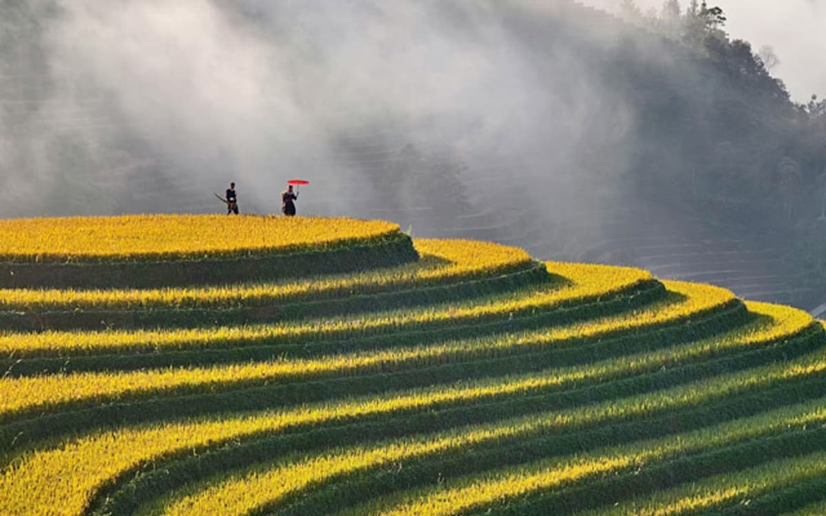 Agoda Survey Highlights Growing Demand for Purpose-Led Travel in Asia
