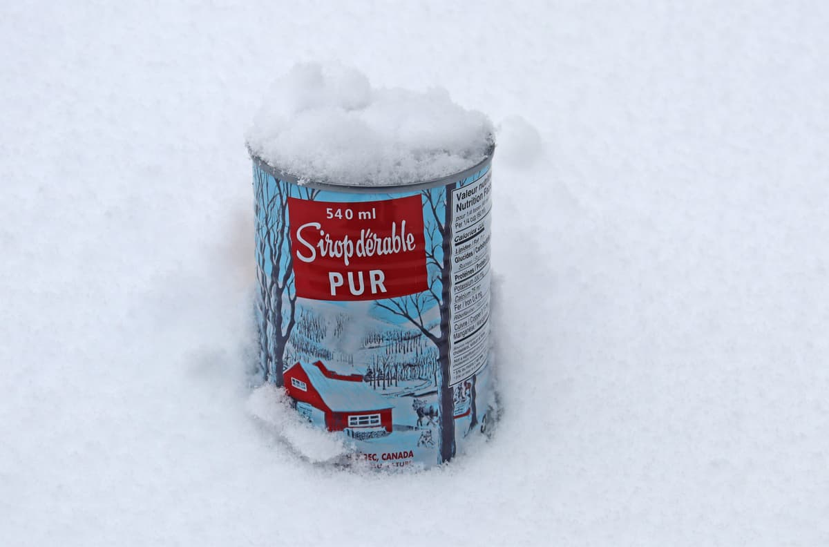 Maple: From Soil to Syrup