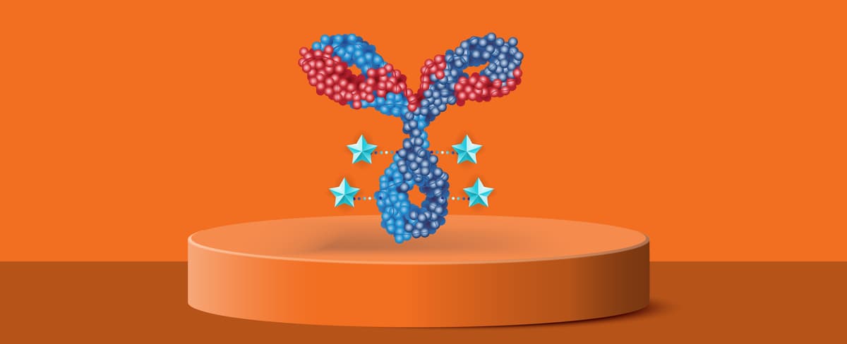 How Alphamab Is Differentiating in Crowded Cancer Targets