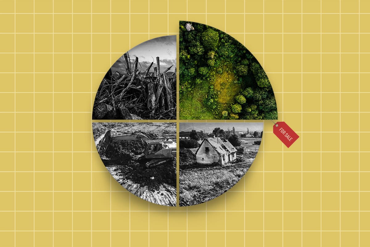 “Green Finance” Promises to Save the Planet. It’s Doing the Opposite