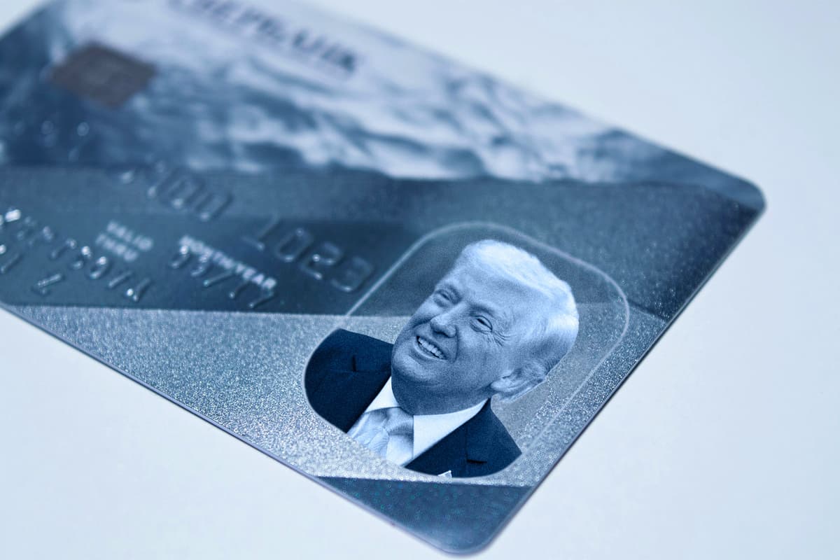 Why Your Credit Card Is a National Security Threat