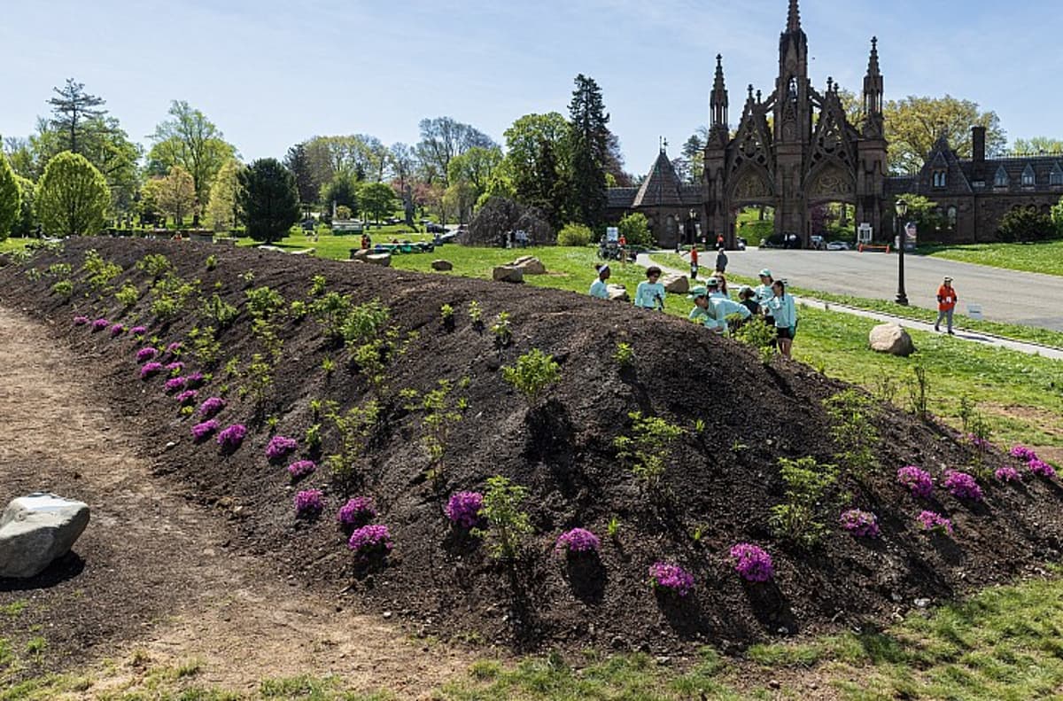 New York City Beyond the Monument: Jean Shin S Living Memorial at Green-Wood by Soojung Hyun