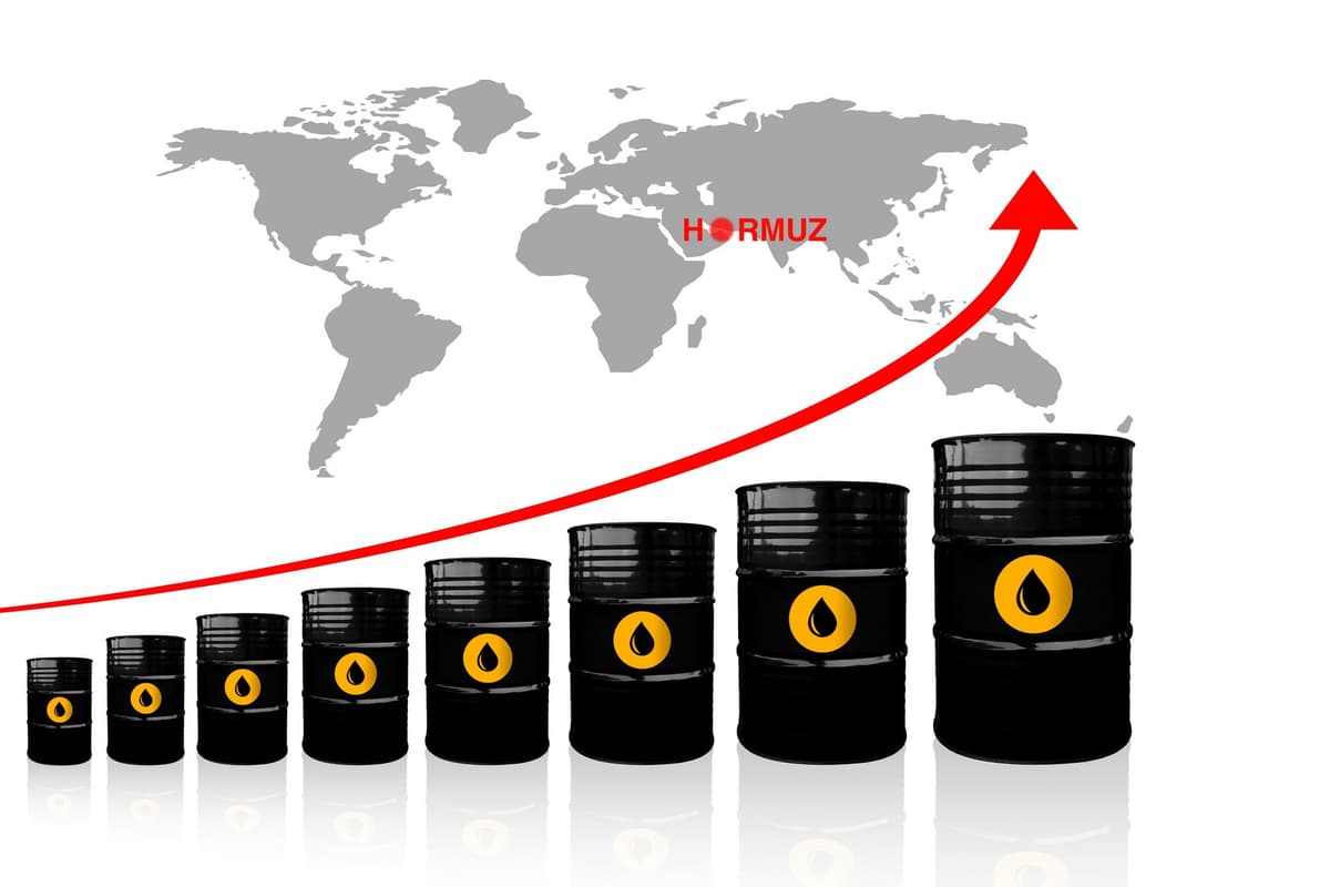 Middle East Fuel Shock Squeezes NZ’s Log Trade — ANZ Report