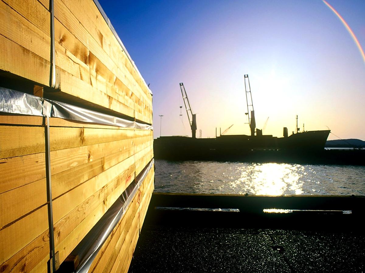 Canada Eyes China as Five-Pronged Tariff Wars Hammer Timber Exports