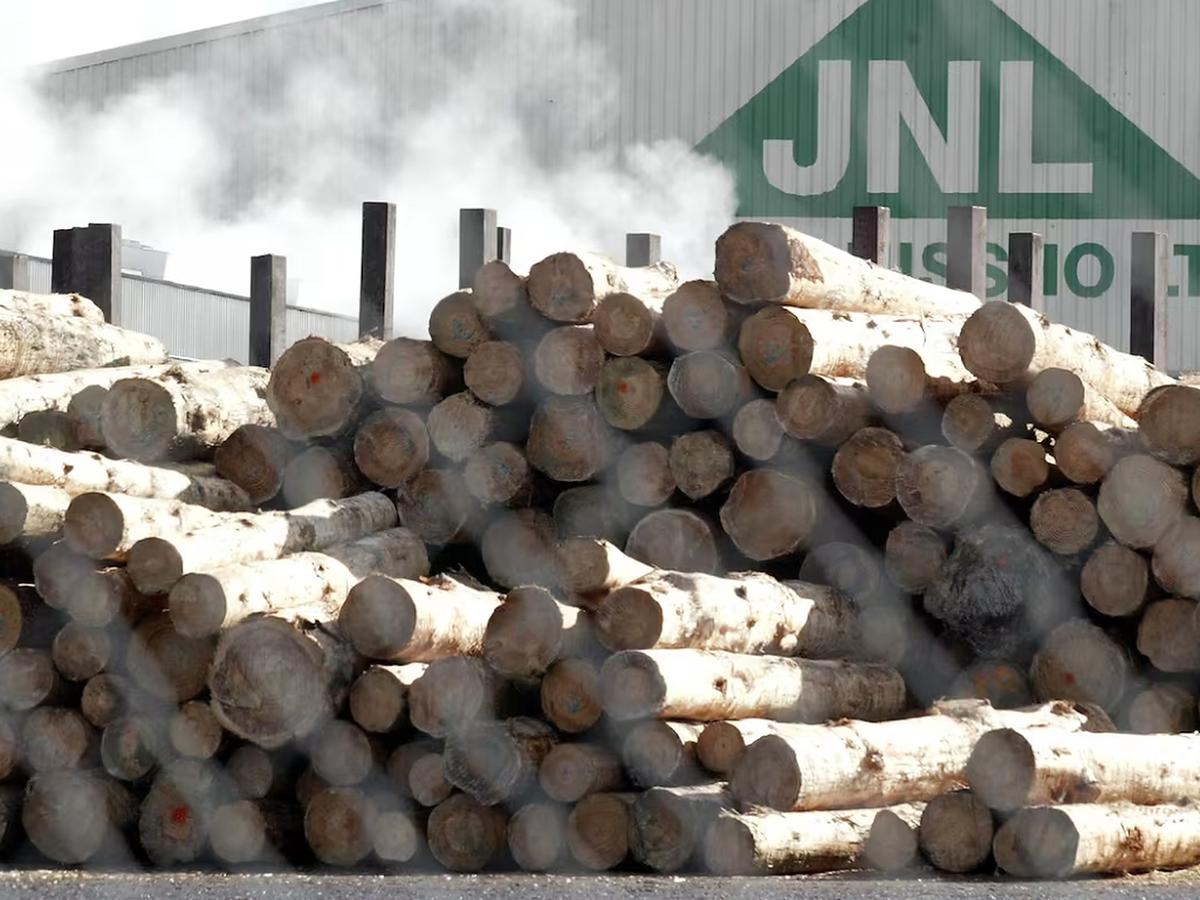 Far North Hunts for White Knight Before It’s Too Late for Juken Mills