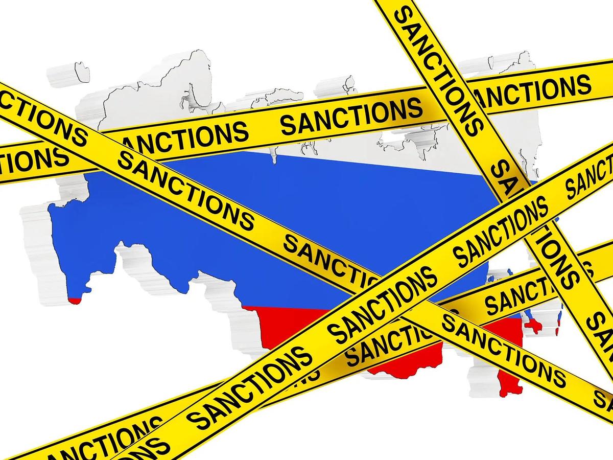 Sanctions Bleed Segezha Dry — Timber Giant’s Losses Quadruple to $1.1B