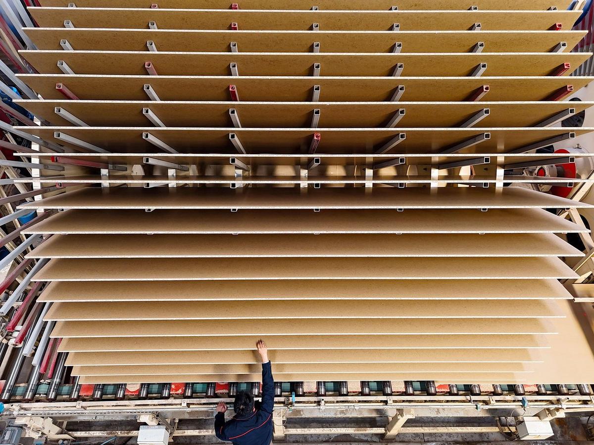 Using Wood Twice Is EU’s Best Path to Net Zero — Nature Study