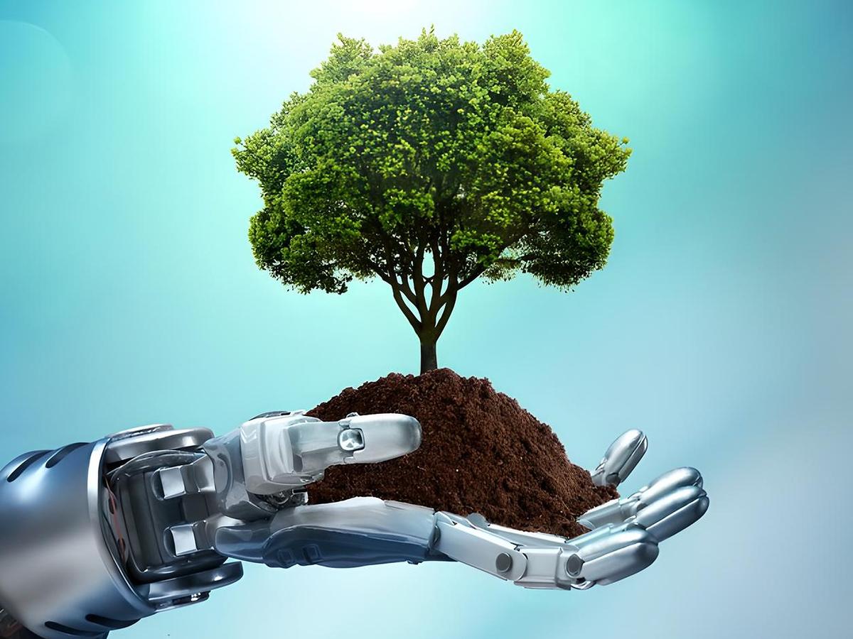 Weyerhaeuser Trains AI to Map Every Tree in Its 10M-Acre Estate