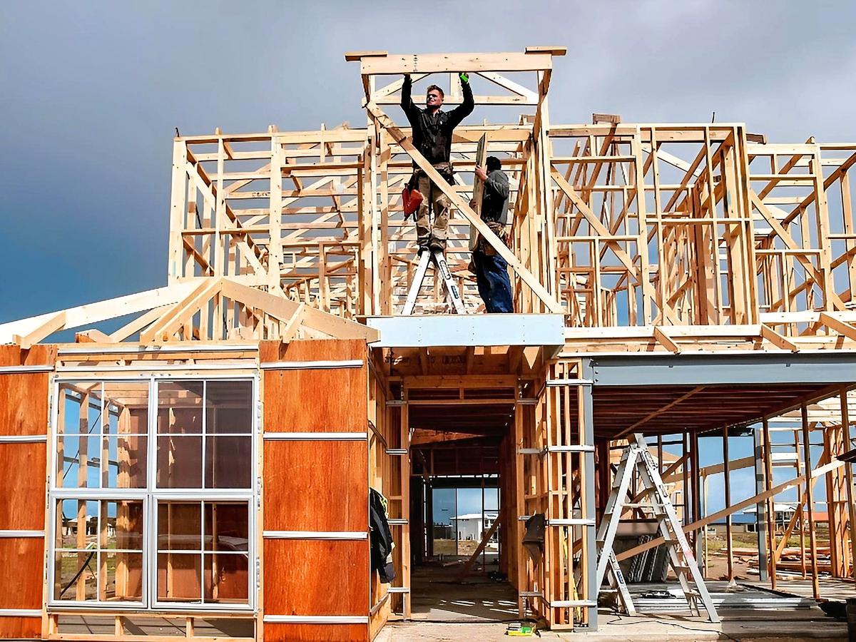 Australia Can Reach Net Zero in Three Years With Better Timber Use