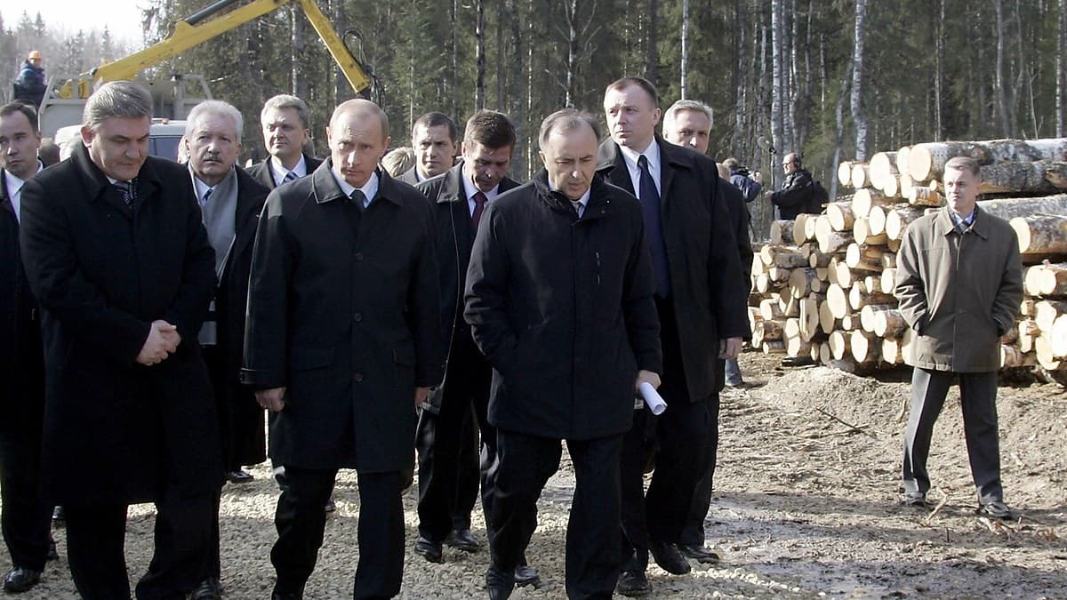 Albanese Faces New Push to Sanction Russia’s Shadow Timber Trade