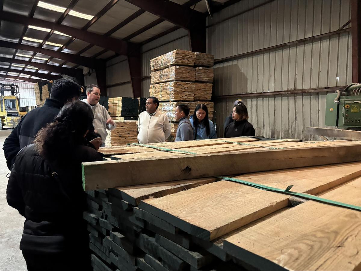 India Is a Breakout Market for American Hardwood and Softwood