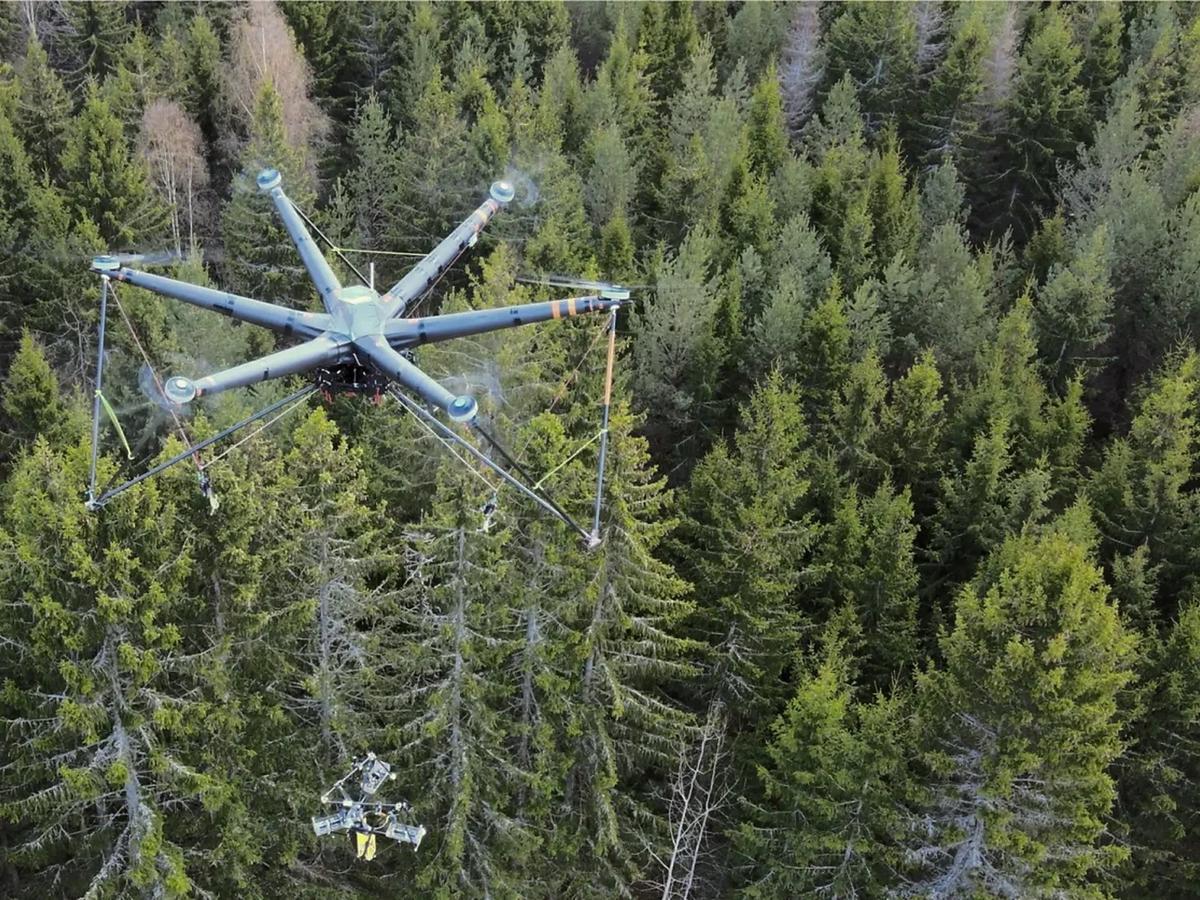 Autonomous Drone Harvests Its First Tree in World First for Forestry