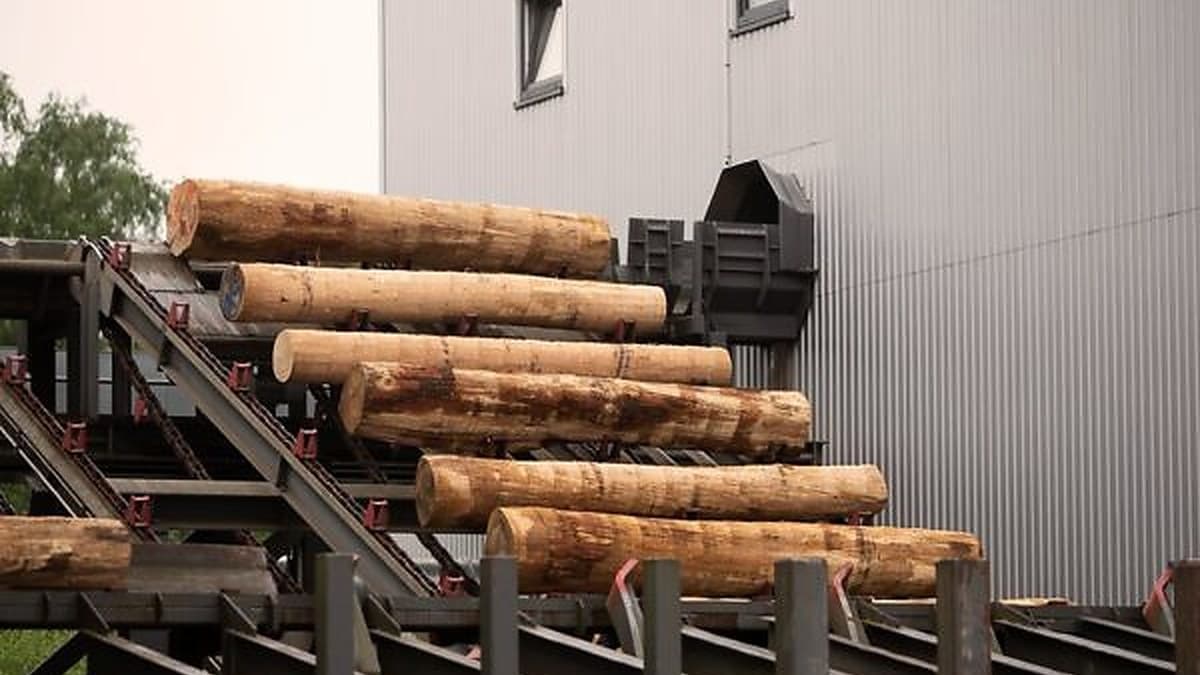 German Timber Outlook Darkens as Iran War Drives the Costs Up
