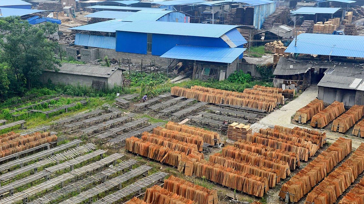 US Tariffs Strip Indonesia’s Plywood Exports of Their Biggest Market