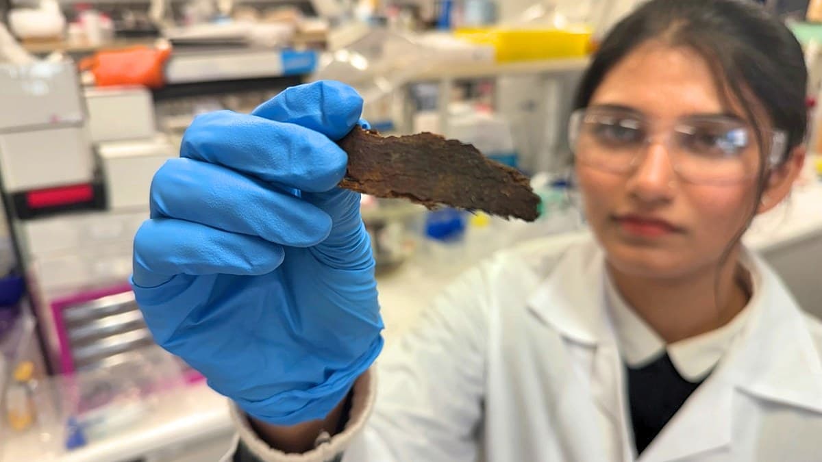 RMIT Turns Eucalyptus Bark Waste Into Carbon-Capture Material