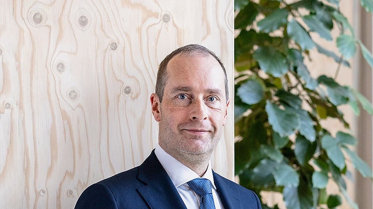 Stora Enso Spins Off Swedish Forest Estate as Bergslagets Skogar