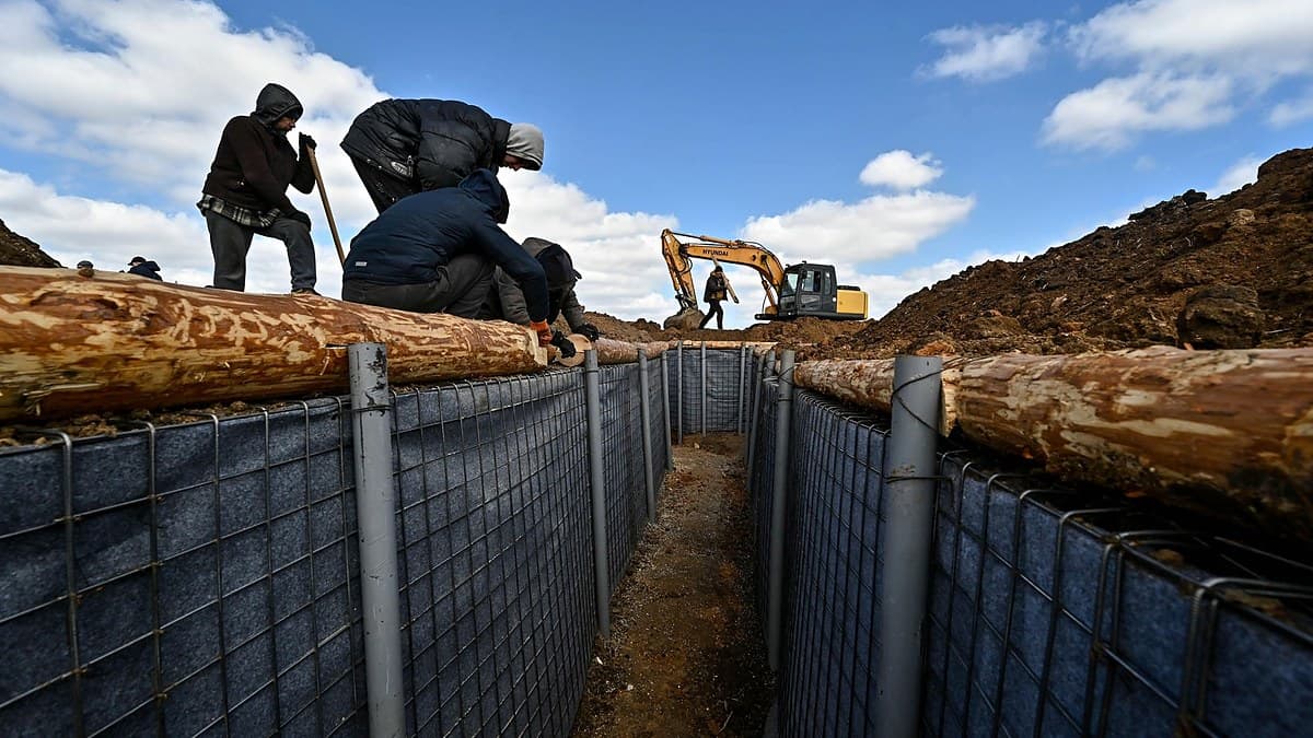 Ukraine’s Timber Glut Hits 15,000m³ a Day as EU Demand Collapses