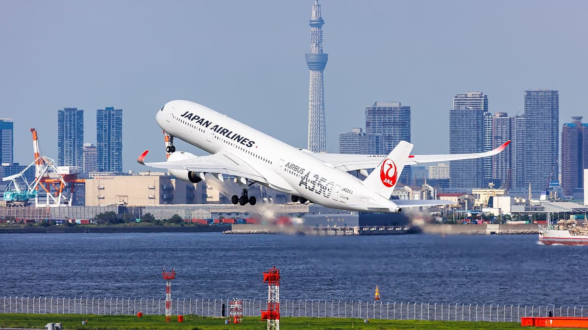 Japanese Firms Aim to Make 100% of Their Jet Fuel From Local Wood