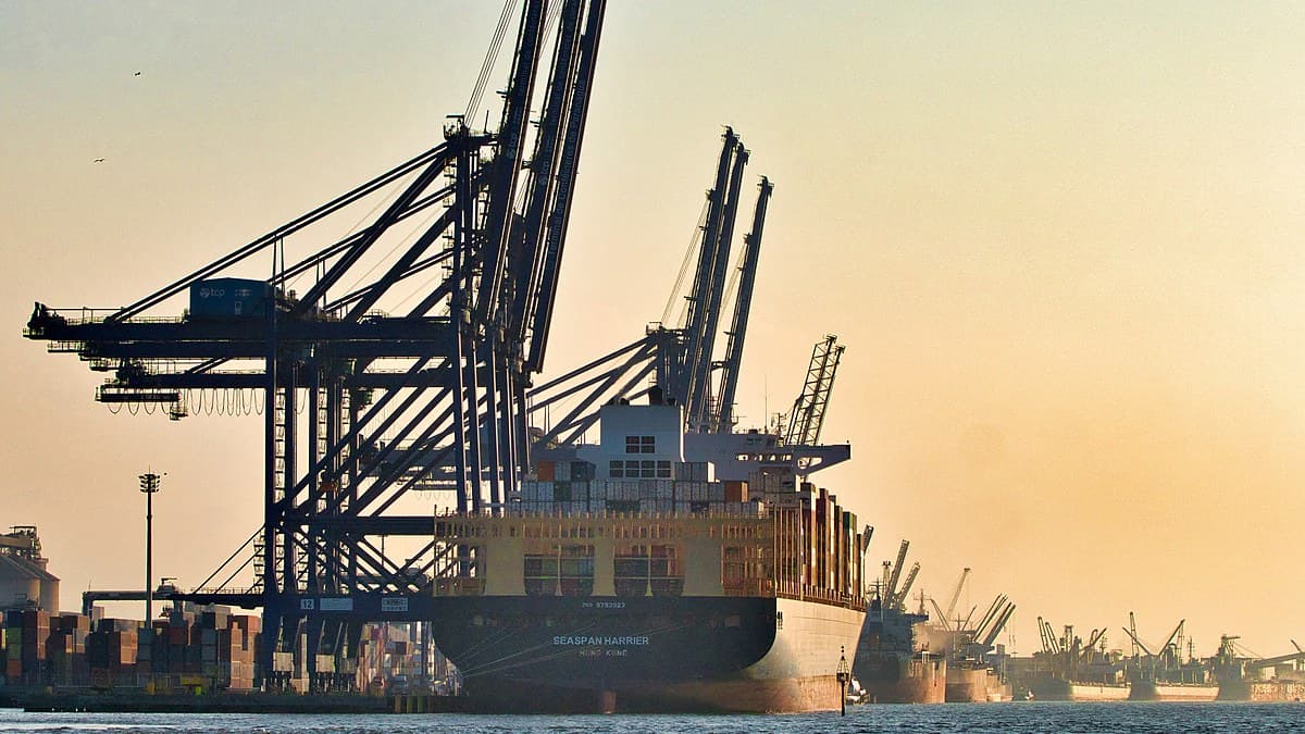 Trump Tariffs Steer Brazilian Timber From the US to Mexico