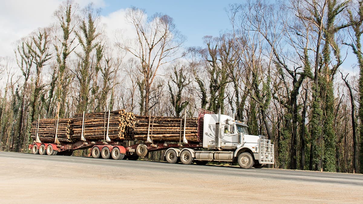 Timber Prices Jump Up to 15% as Diesel Shock Hits Repair Bills