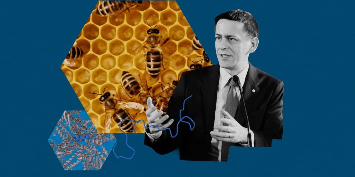 What’s Next for AlphaFold: A Conversation with a Google DeepMind Nobel Laureate