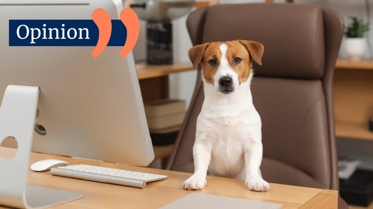 Is WFH Working for the Profession?