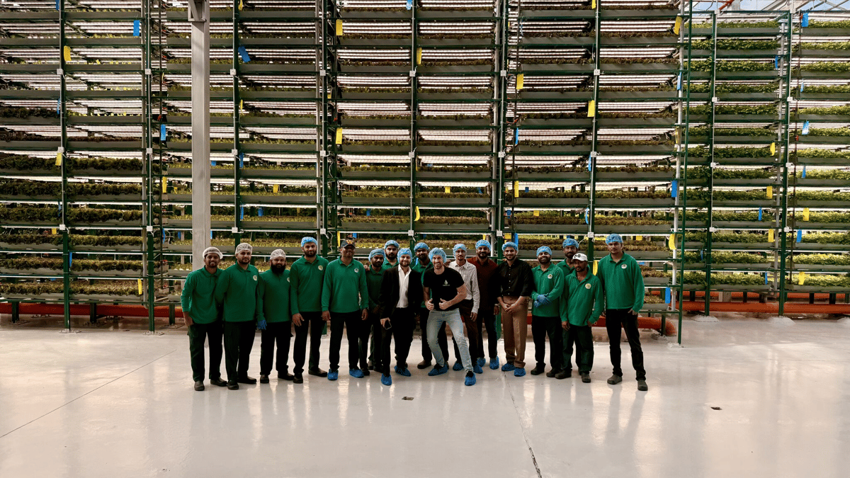 How to Start a Vertical Farming Business: A Practical Roadmap