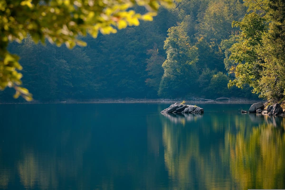 Emerald Lake Capital Management Raises $800M for Debut Fund