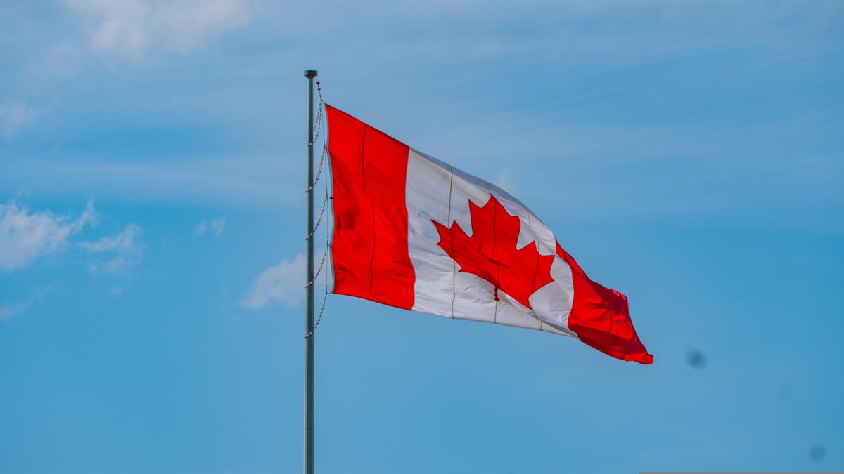 N49P Eyes $70m for Fourth Canada-Focused Tech Seed Fund, Hits $25m First Close