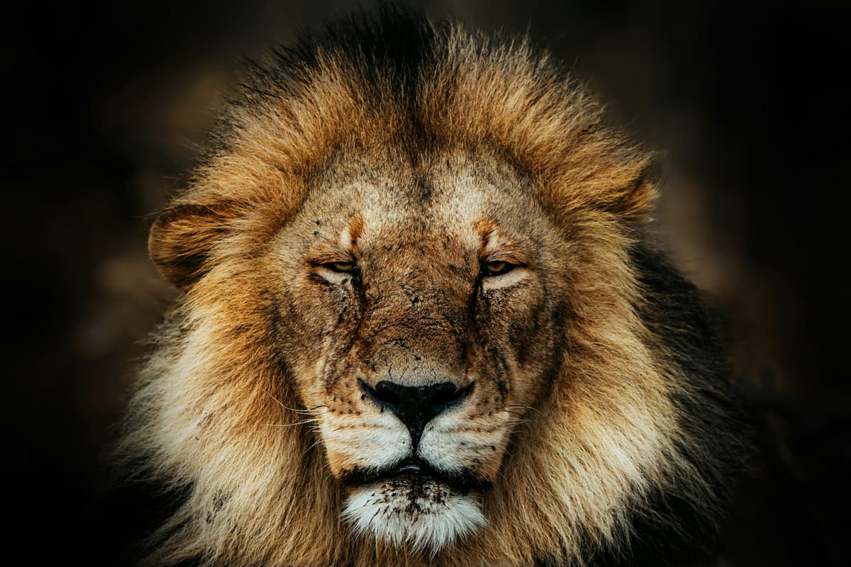 Lion Real Estate Group Closes $35M Marble Partners Fund I