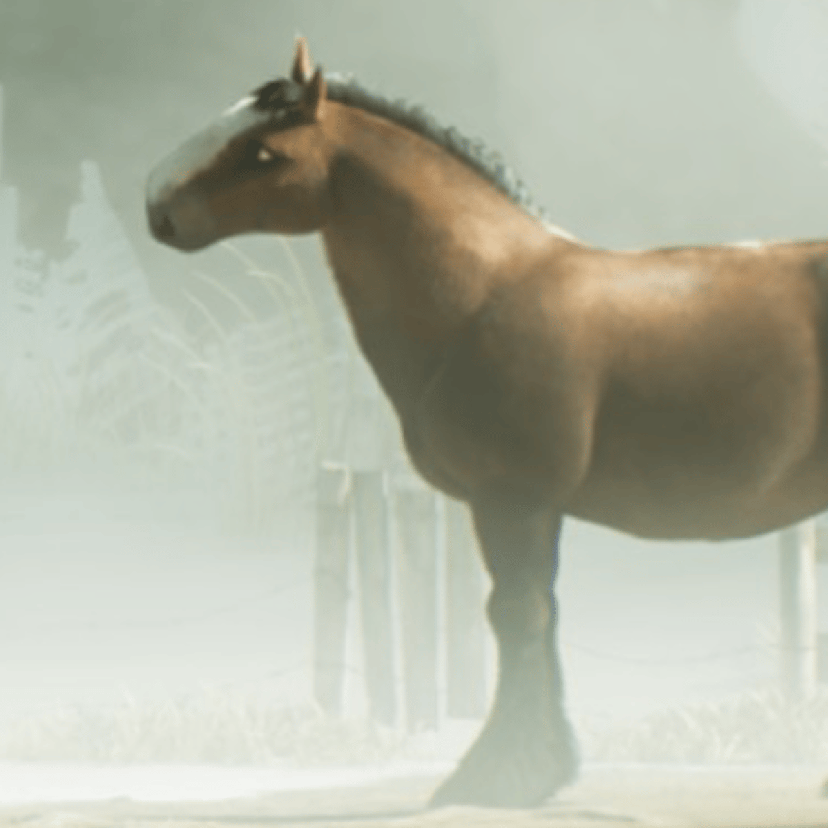 Oh God, What Happened To The New Animal Farm, And Why?