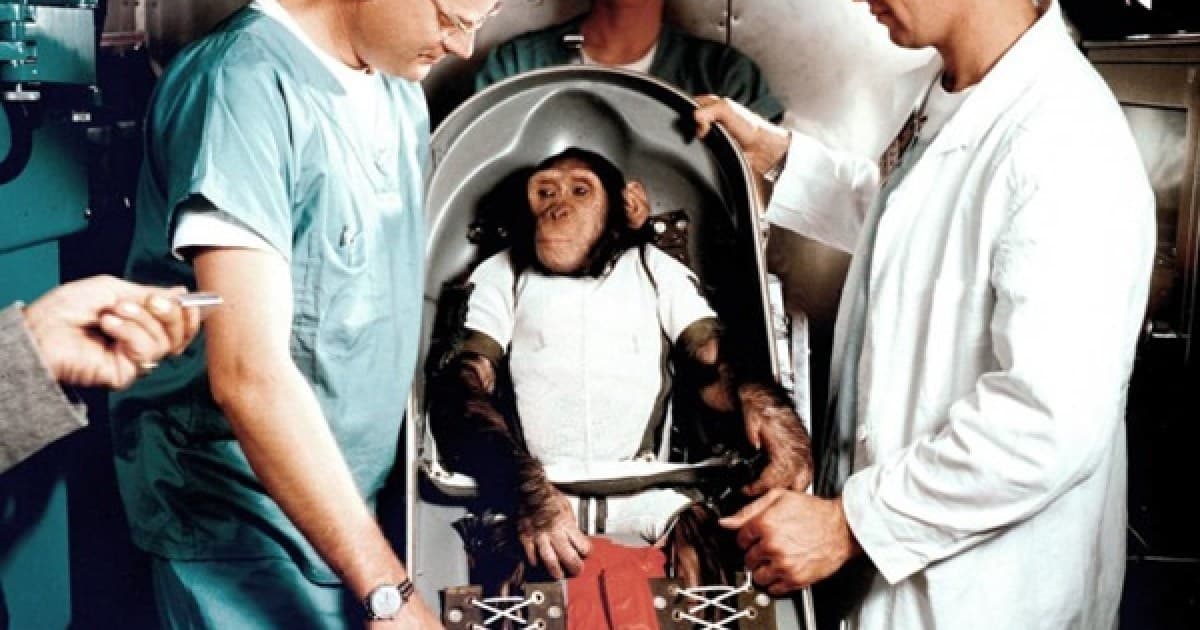 June 14, 1949: The First Mammal in Space