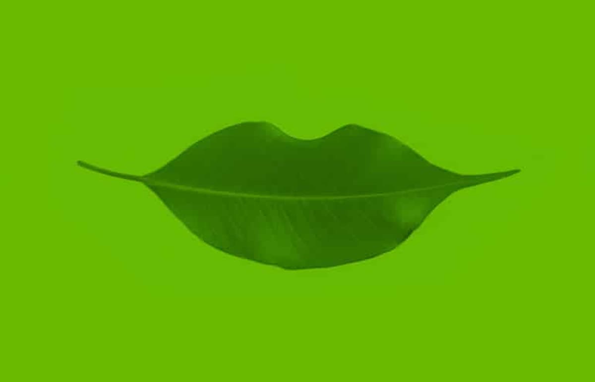 Five Ways to Use Gratitude to Improve Your Legal Practice and Well-Being