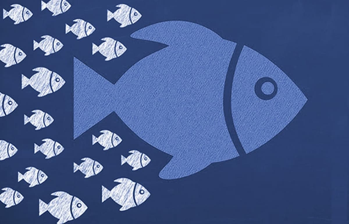 Making the Most of Your Mentoring Relationships