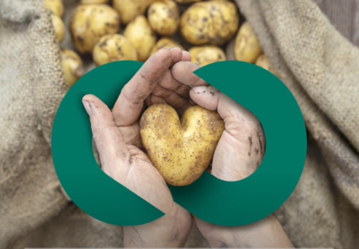 Manufacturing Potential Highlighted as Australia Eyes Share of $68.56B Upcycled Food Market