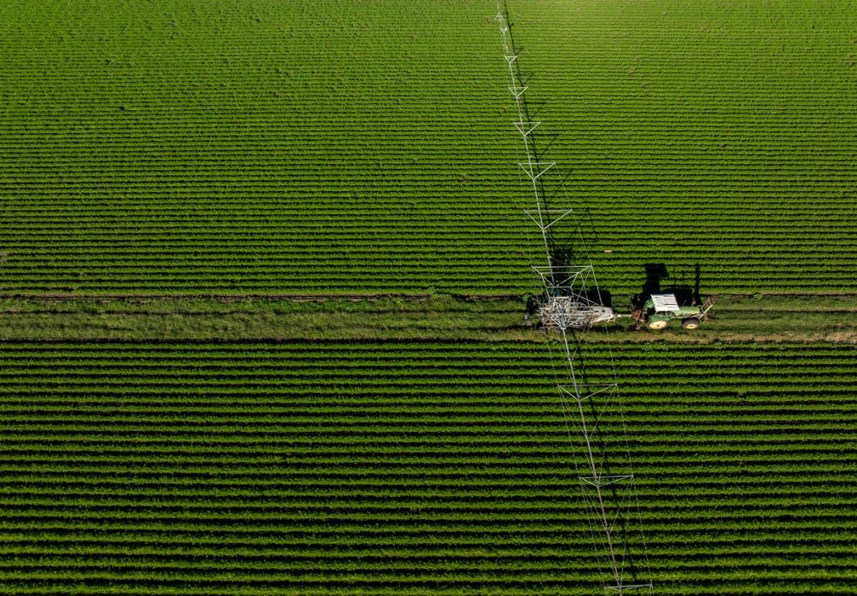 CSIRO Report Highlights Manufacturing in Regional Blueprint to Safeguard Australia’s Food Future