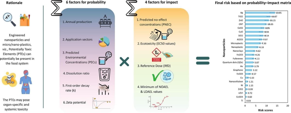New Framework Reveals Which Food-System Nanoparticles Need Closer Safety Checks