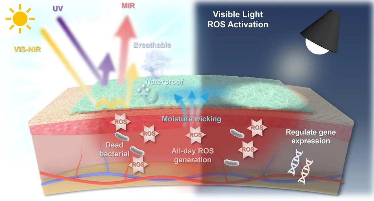Nanofiber Bionic Skin Helps Infected Wounds Heal Faster in Preclinical Study