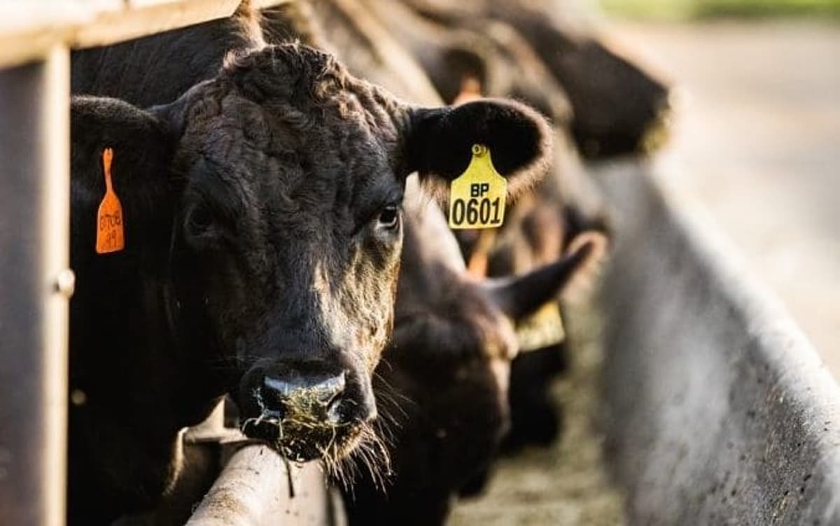 Weekly Genetics Review: The C Word We Shouldn’t Avoid