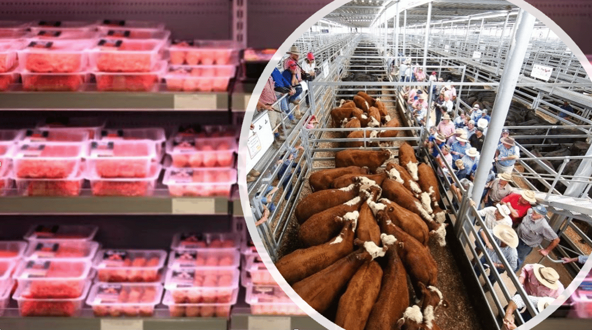 Supermarkets Must Help Farmers Keep Food Moving as Fuel Costs Bite