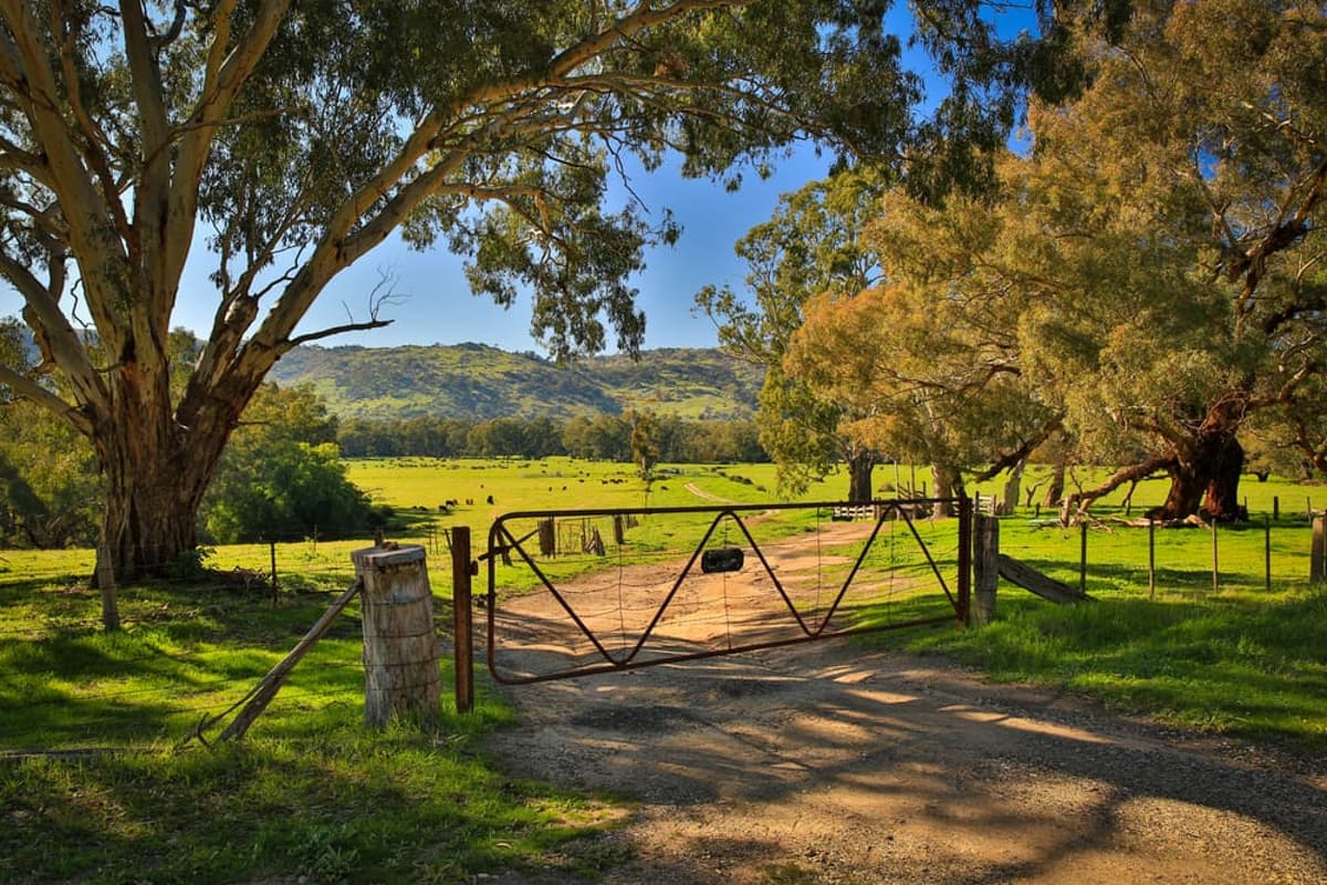 Australian Farmland Values Record 12th Year of Unbroken Growth