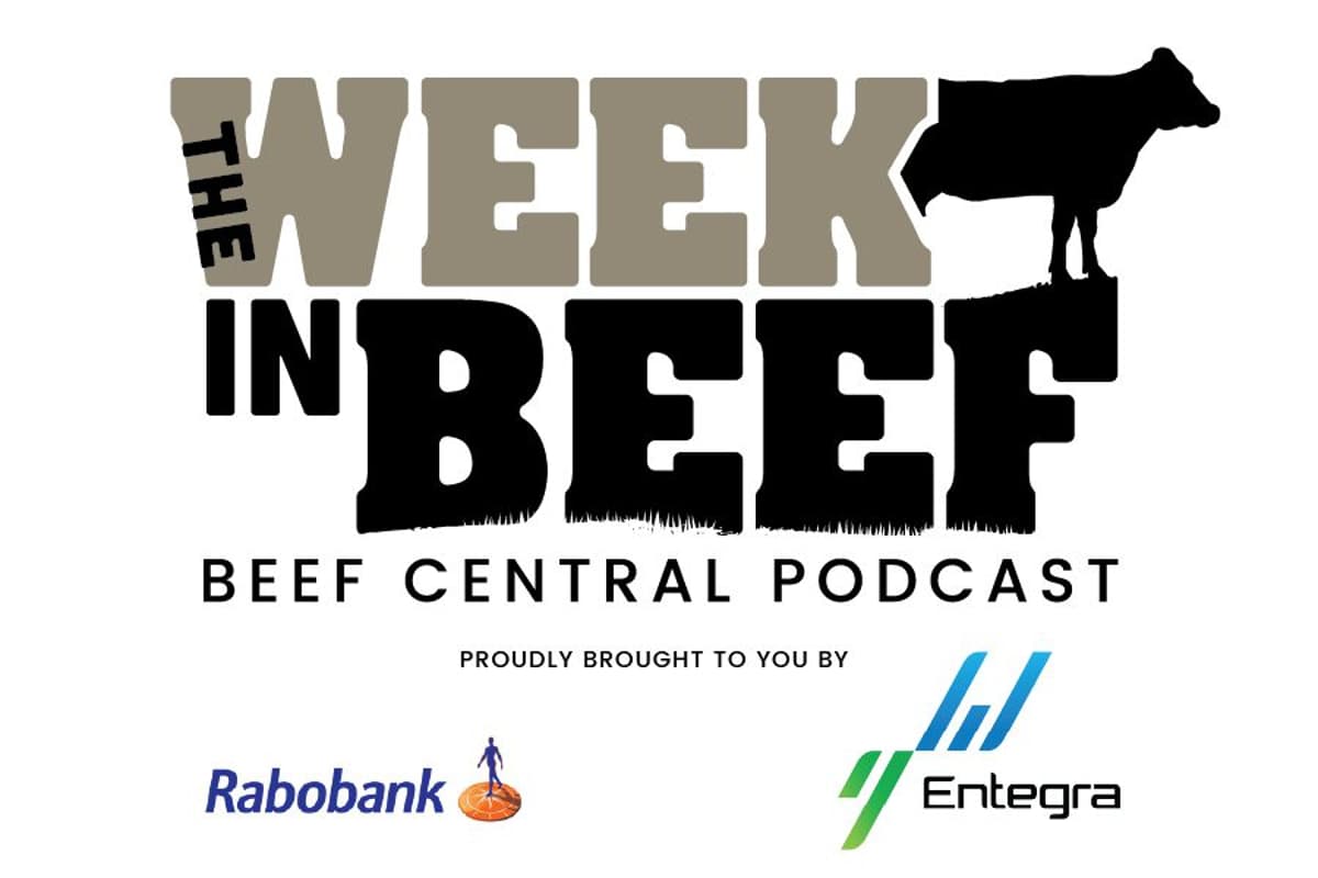 Podcast: Australian Beef’s Brightest | Cattle Price Drop | Senator’s Fuel Solution
