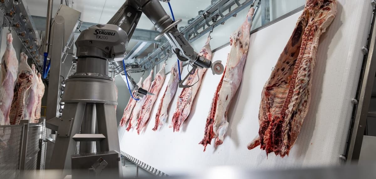 AI Could Reshape “Almost Every Aspect” Of Red Meat Processing
