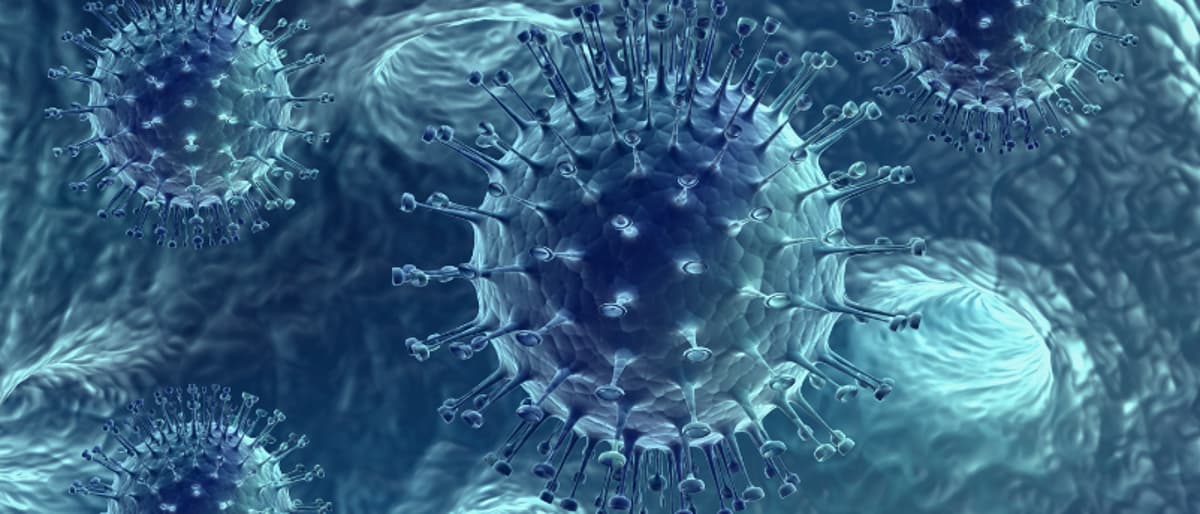 Transduction-Ready Viral Particles