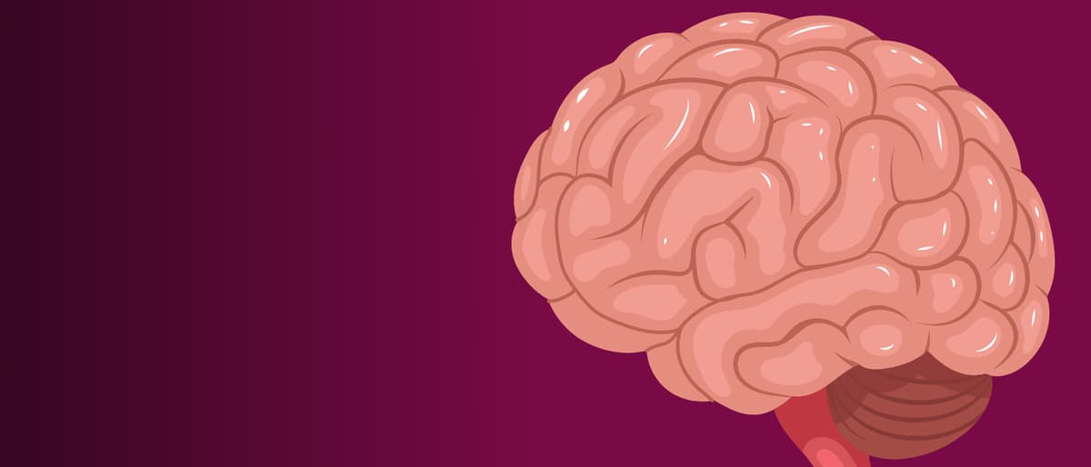 Researchers Take a Step Closer to Finding a Treatment for a Rare Genetic Neurodevelopmental Condition