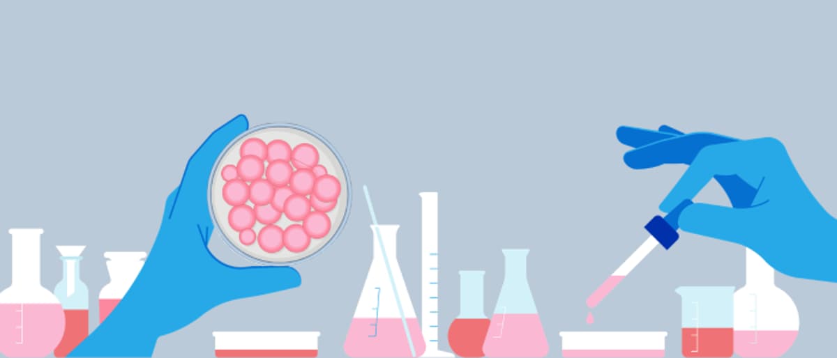 Cell Line Development: Pitfalls, Challenges and Solutions