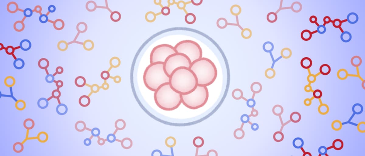 New Genetically Engineered CHO Cell Line Boosts Protein Expression and Productivity